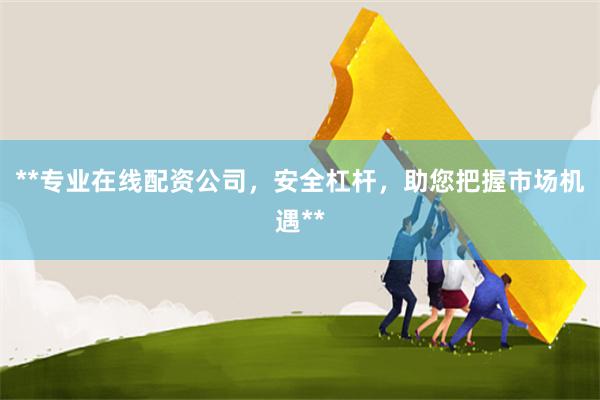 **专业在线配资公司，安全杠杆，助您把握市场机遇**